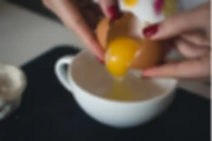 Ilustrasi kuning telur
