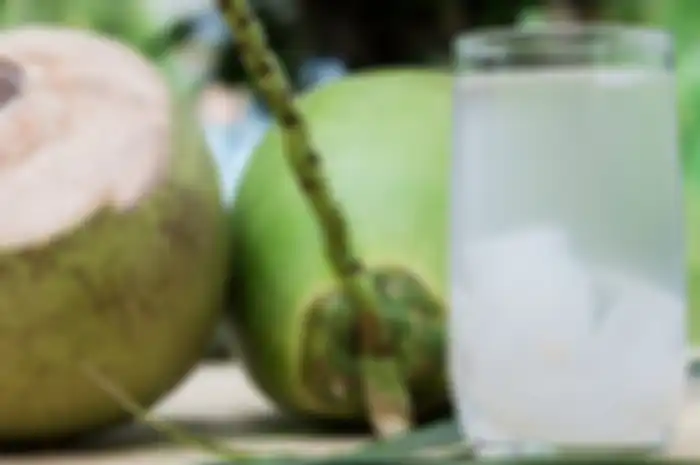 Air kelapa muda 