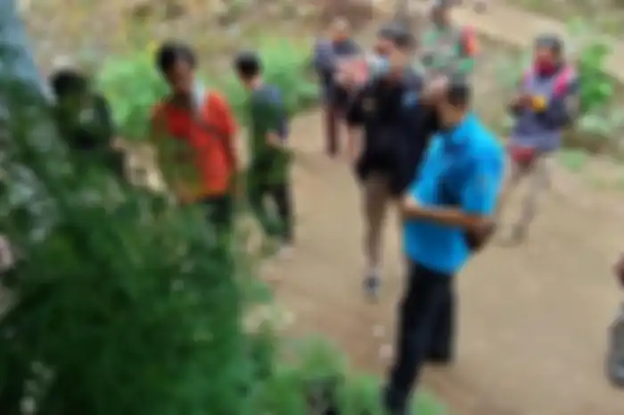 Suasana TKP saat penggerebekan penanaman ganja di rumah Muslim di Tasilmalaya, Selasa (20/10/2020)