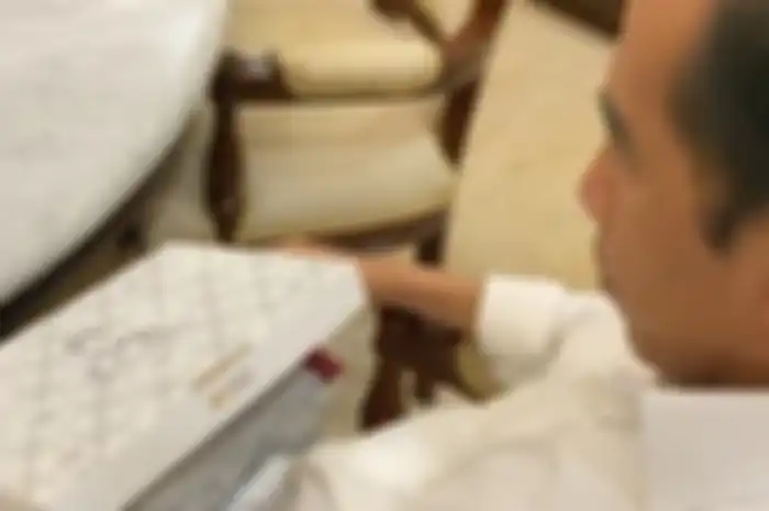 Jokowi Unboxing Sneakers Batik Hasil Kolab Ventela, Never Too Lavish dan Yang Ayam