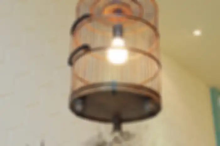 Mulai dari Sangkar Burung Hingga Botol Bekas, Intip Pernak-pernik Rumah yang Menginspirasi!