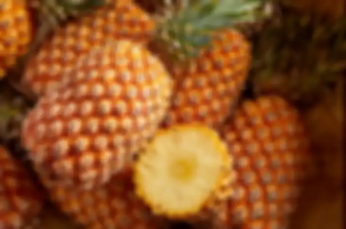 Ilustrasi nanas