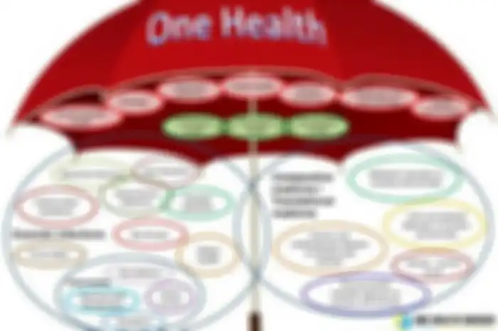 One Health Umbrella dikembangkan oleh One Health Swedia dan One Health Initiative untuk ilustrasi cakupan konsep.