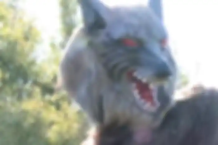Robot serigala di Kota Takikawa bernama Monster Wolf yang digunakan untuk mengusir beruang liar.