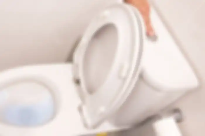 Harus Lebih Ekstra di Masa Pandemi, Begini Cara Mengganti Bowl Toilet yang Sudah Rusak dan Tak Layak Pakai