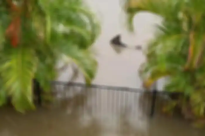 Halaman Rumah di Australia Kedatengan Hiu Banteng Pas Banjir