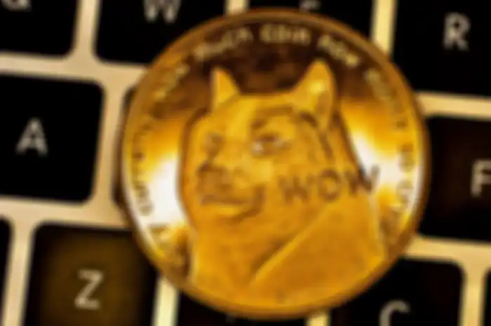 Dogecoin (DOGE) 