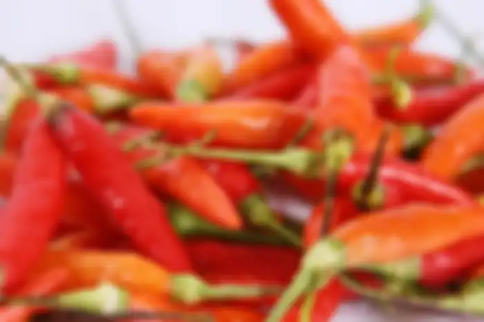 harga komoditas cabai berbagai jenis di Kalsel mengalami kenaikan dalam satu bulan terakhir