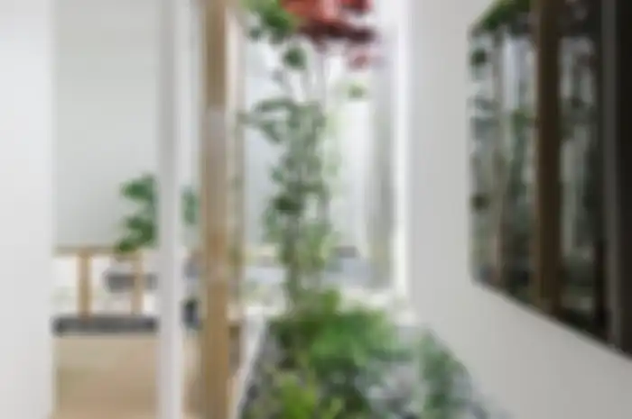 Banyak yang Belum Tahu, Begini Tips Menghadirkan Taman Kering pada Desain Rumah Minimalis