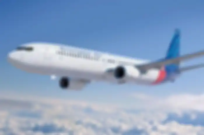 Ilustrasi - Sriwijaya Air.