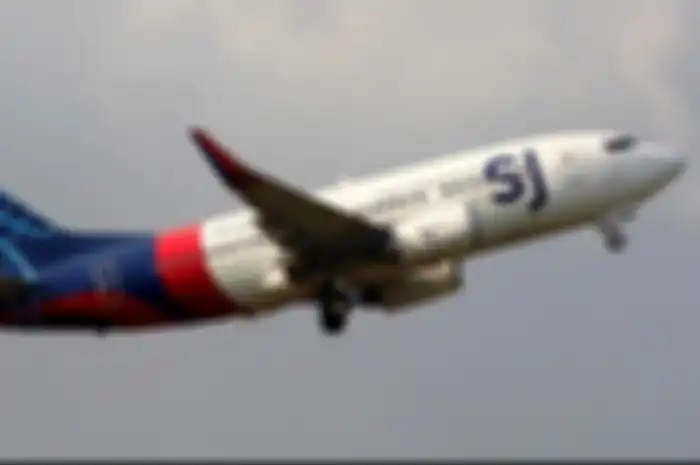 Foto: Pesawat Sriwijaya Air PK-CLC yang hilang kontak di Kepulauan Seribu. 