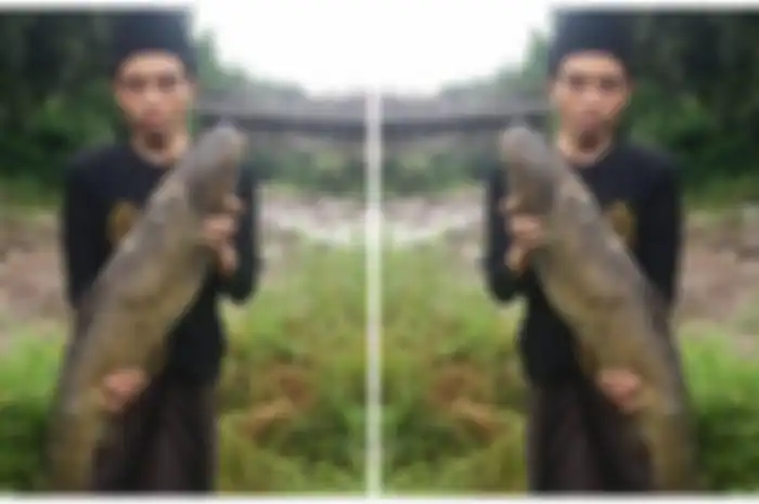 Penemuan ikan raksasa usai banjir bandang di kawasan puncak Bogor.
