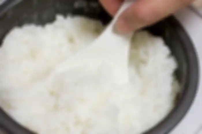 Langsung tutup rice cooker ketika nasi matang ternyata simpan efek buruk bagi tubuh lho