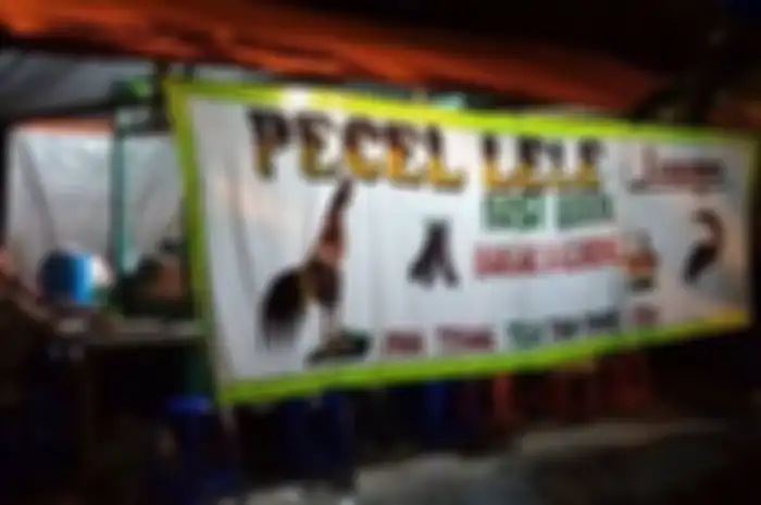 Stop konsumsi lele dengan ciri-ciri ini