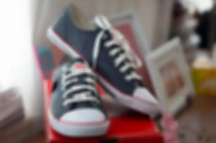 Pengertian Bespoke Sneakers