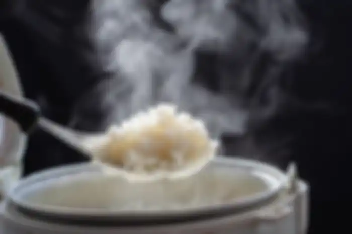 Benarkah Nasi dalam Rice Cooker bisa sebabkan kanker? berikut penjelasan ahli