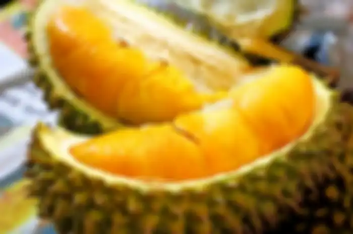 ilustrasi durian
