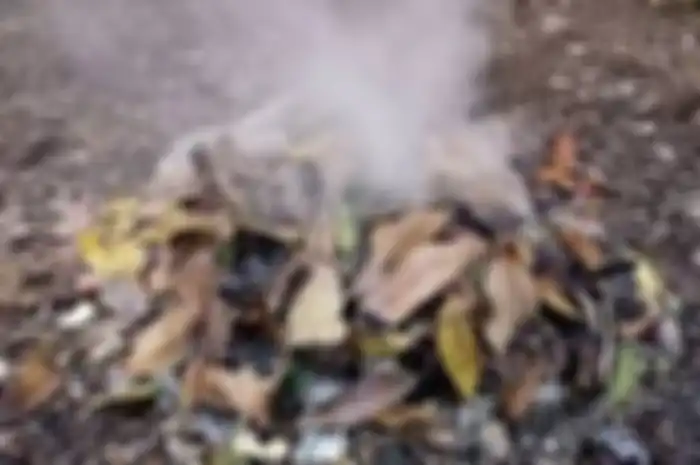 Selain bisa timbulkan kebakaran, membakar sampah daun mengancam kesehatan.