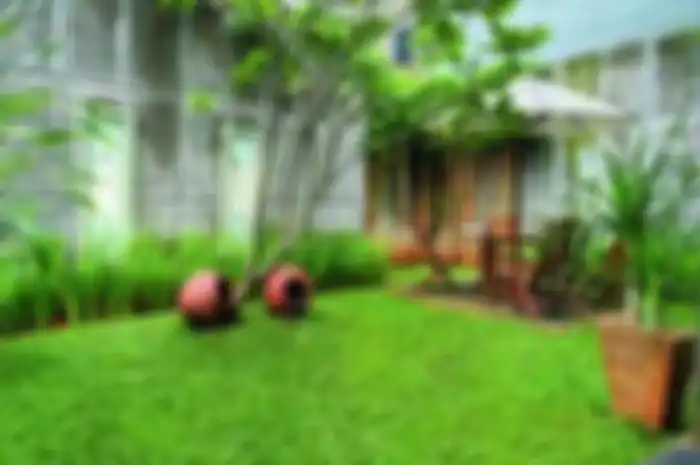 Ilustrasi rumput di taman.