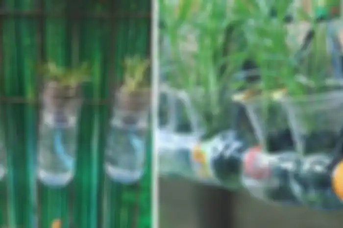 Berkebun tanpa limbah dnegan menggunakan botol plastik bekas pakai. 