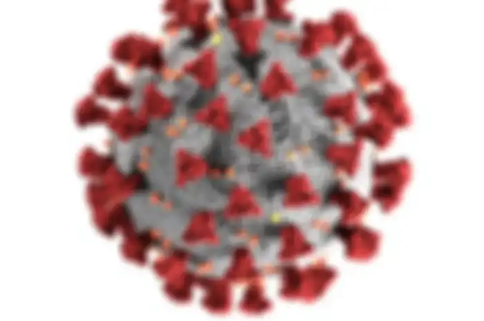 Ilustrasi mutasi virus corona E484K