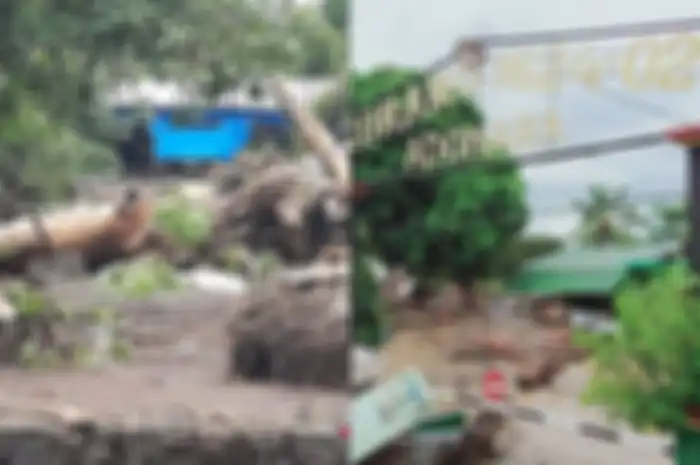 Banjir Bandang di Flores Timur, NTT