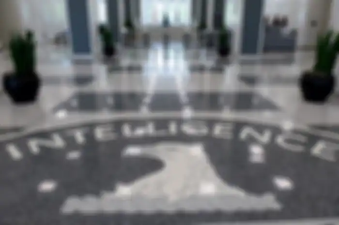 Central Intelligence Agency (CIA)