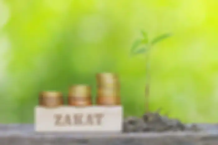 Membayar zakat adalah kewajiban umat Islam yang harus ditunaikan sebelum hari raya Idul Fitri. Kini membayar zakat bisa dilakukan secara online melalui laman Baznas.