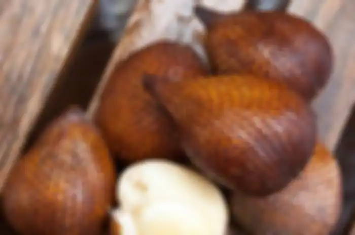 Air rebusan salak bisa berikan khasiat baik untuk kesehatan