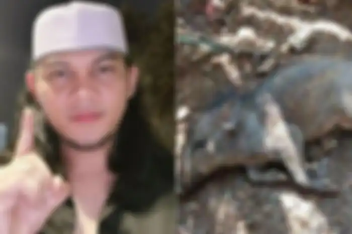 Mbah Mijan beberkan ciri-ciri babi ngepet yang sebenarnya
