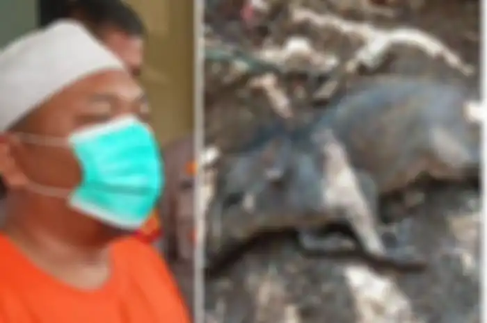AL Pelaku Penyebar Isu Babi Ngepet di Depok Akhirnya Ditangkap