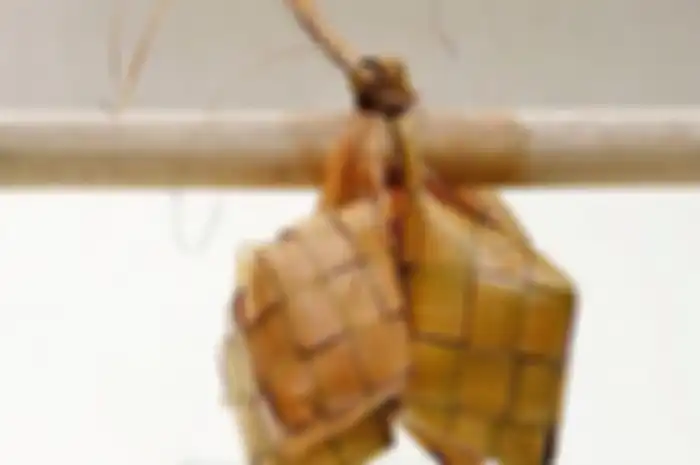 Sederet Kuliner Lebaran dari Berbagai Dunia, Tak Hanya Ketupat Lho!