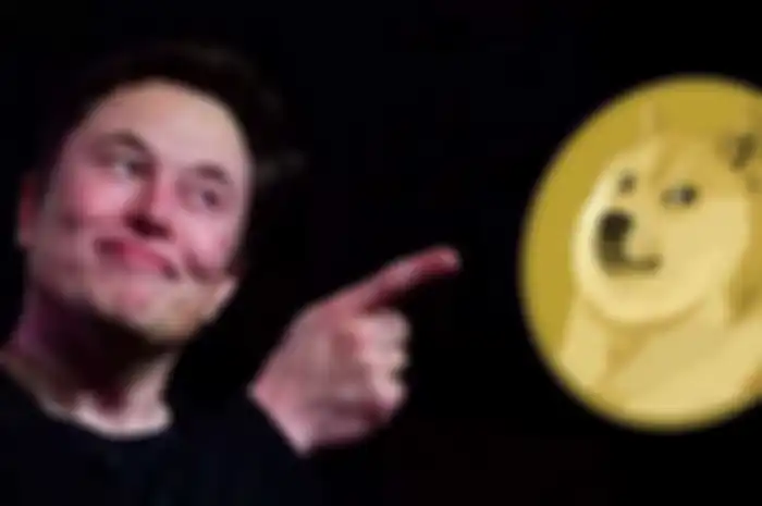 Ilustrasi Elon Musk dan Doge Coin