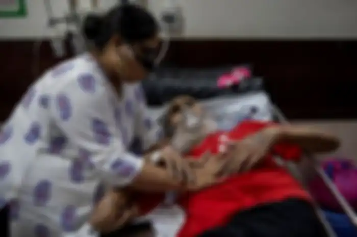 Jamur hitam di India