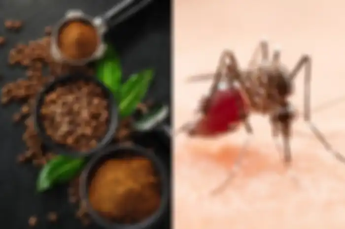 Tak Sengaja Taruh Ampas Kopi Di Genangan Air, Seorang Ibu Rumah Tangga Kaget Saat Tahu Hal Luar Biasa Ini Terjadi Pada Nyamuk Di Rumahnya
