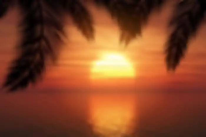 Ilustrasi sunset