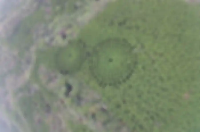 Hutan cedar dengan pola mirip crop circle di Prefektur Miyazaki, Jepang.