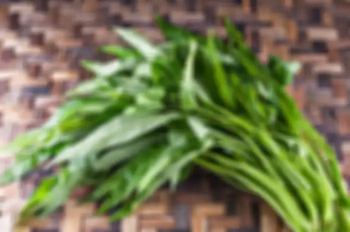 Ilustrasi (sayur) Kangkung