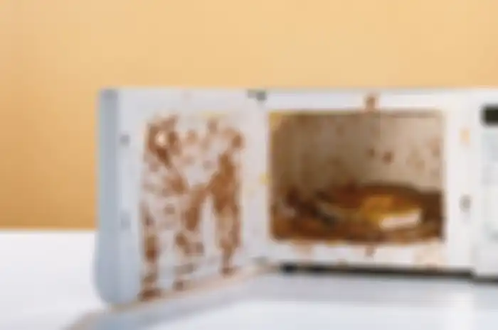 Ilustrasi microwave