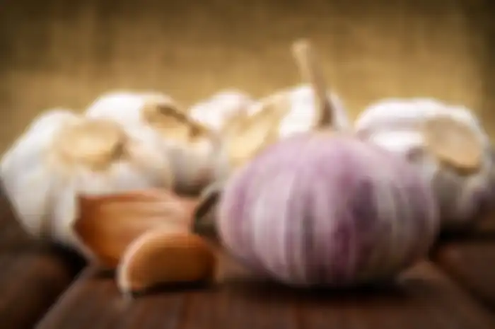 bawang berkhasiat untuk mengusir tikus
