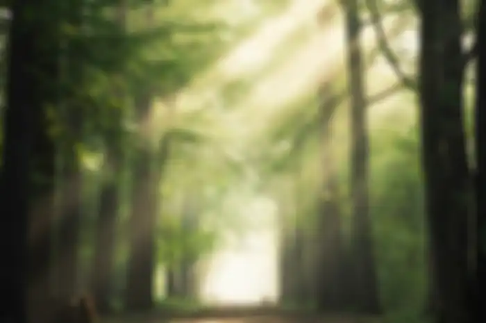 Potensi sumber daya hutan Indonesia harus dijaga kelestariannya.