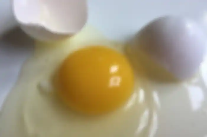 Telur mentah adalah salah satu bahan makanan yang harus dibawa dan disimpan dengan hati-hati. Sebab, telur bisa pecah kalau jatuh atau terbentur.
