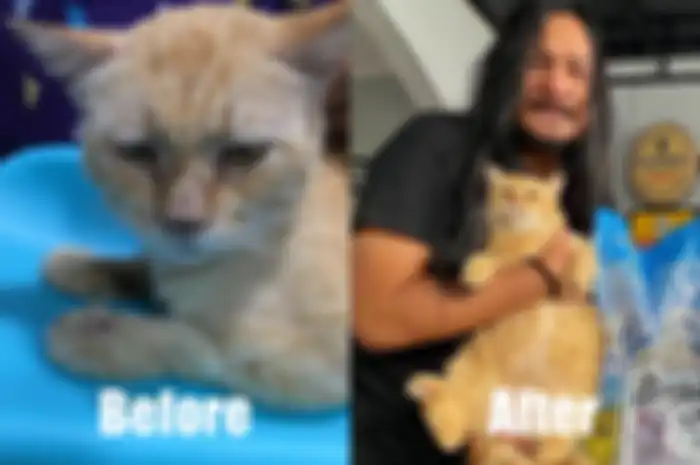 Stevi Item dan kucing bernama Omon yang ia selamatkan.
