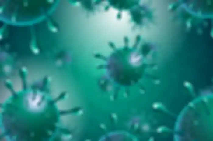 Varian virus corona