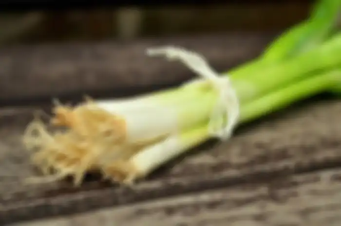 Ini cara mudah menanam daun bawang di rumah, salah satunya dengan cara stek. 