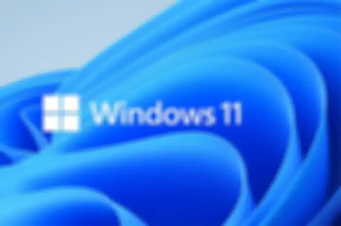 Windows 11