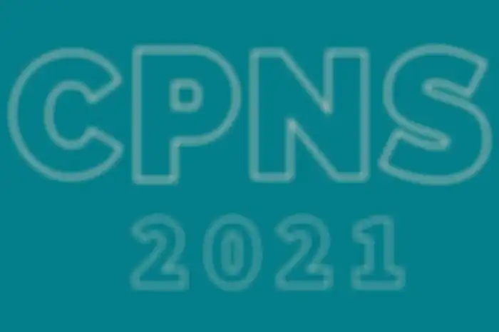 29 Juni Jadwal CPNS 2021 Resmi Diumumkan, Buruan Daftar di LINK ini