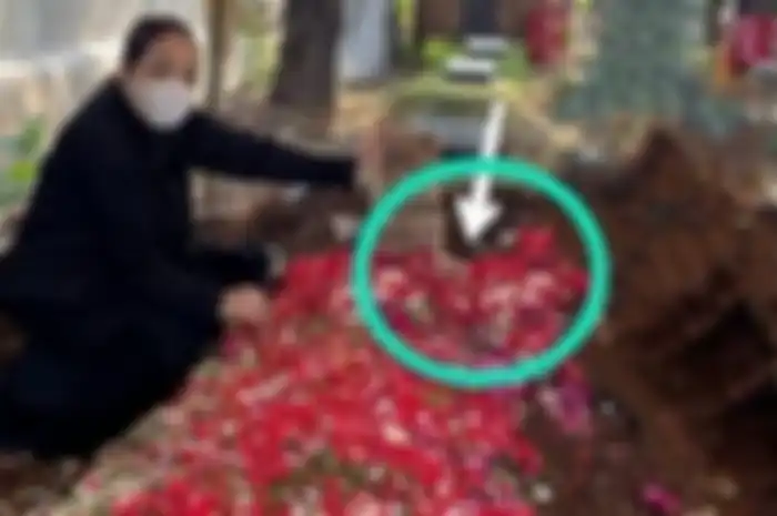 Viral Ada Penampakan Tangan Menyembul di Makam Basah Jane Shalimar, Pemilik Foto Asli Konfirmasi Hal Ini