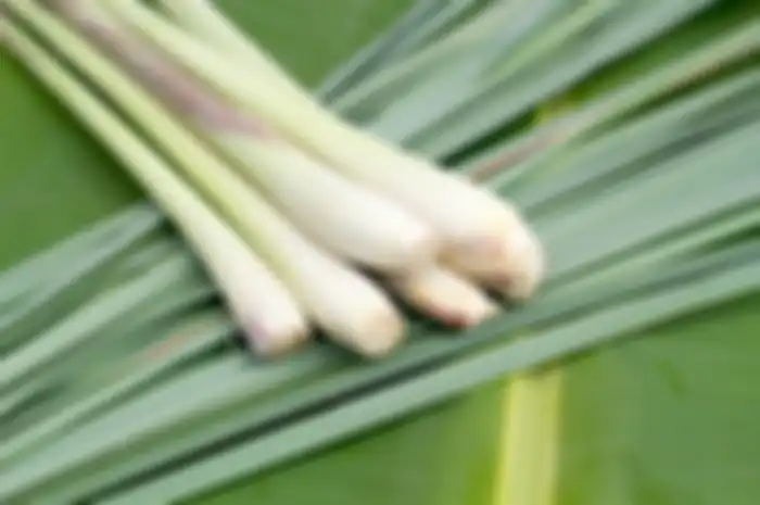 serai