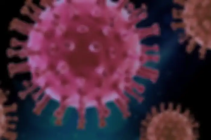 (ilustrasi) virus corona yang bertahan dalam tubuh